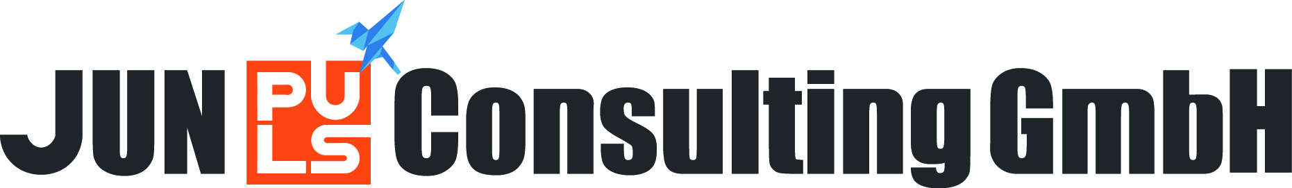 JUNPLUS
